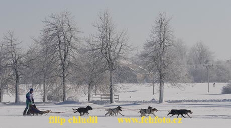 Decinsky sneznik 05 - 115.jpg